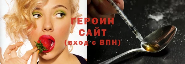 гашик Козельск