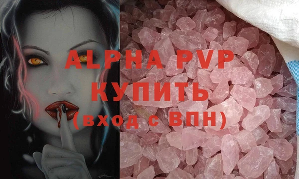 гашик Козельск