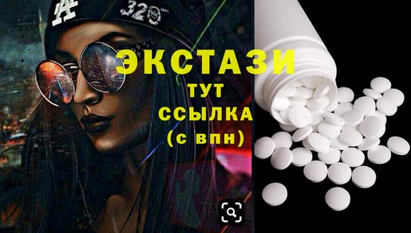 гашик Козельск
