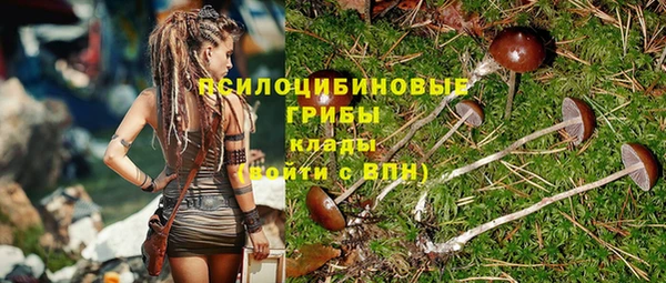 трава Кодинск