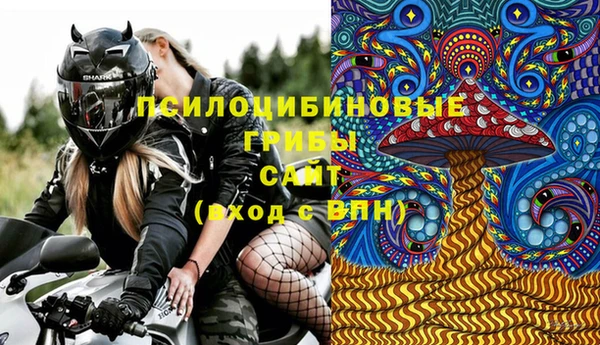 гашик Козельск